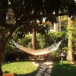 Carikci