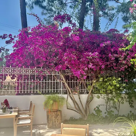 Szálloda Carikci Marmaris