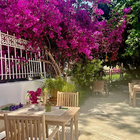 Szálloda Carikci
