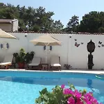 Carikci
