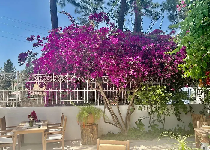 ホテル Carikci マルマリス